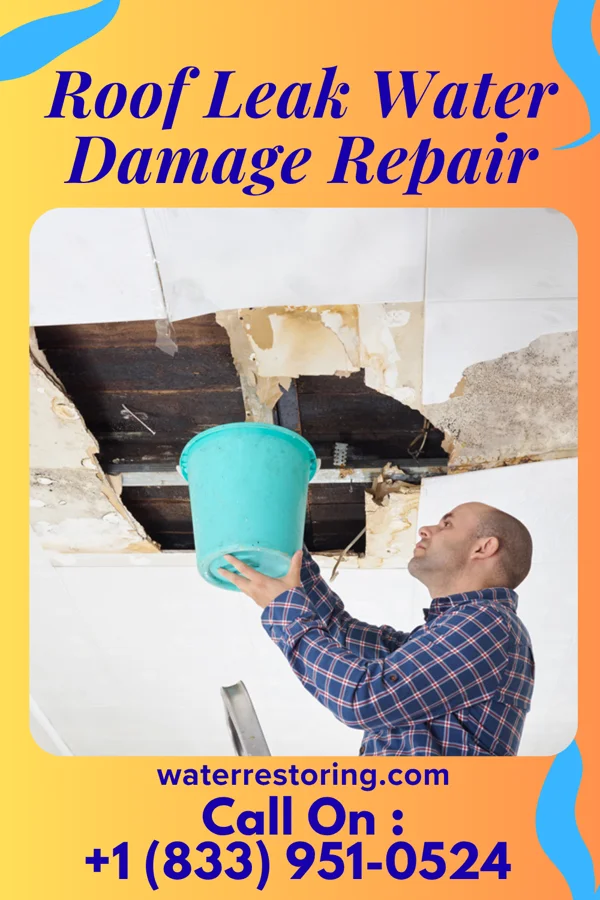 Roof Leak Water Damage Repair in Bristol, SD